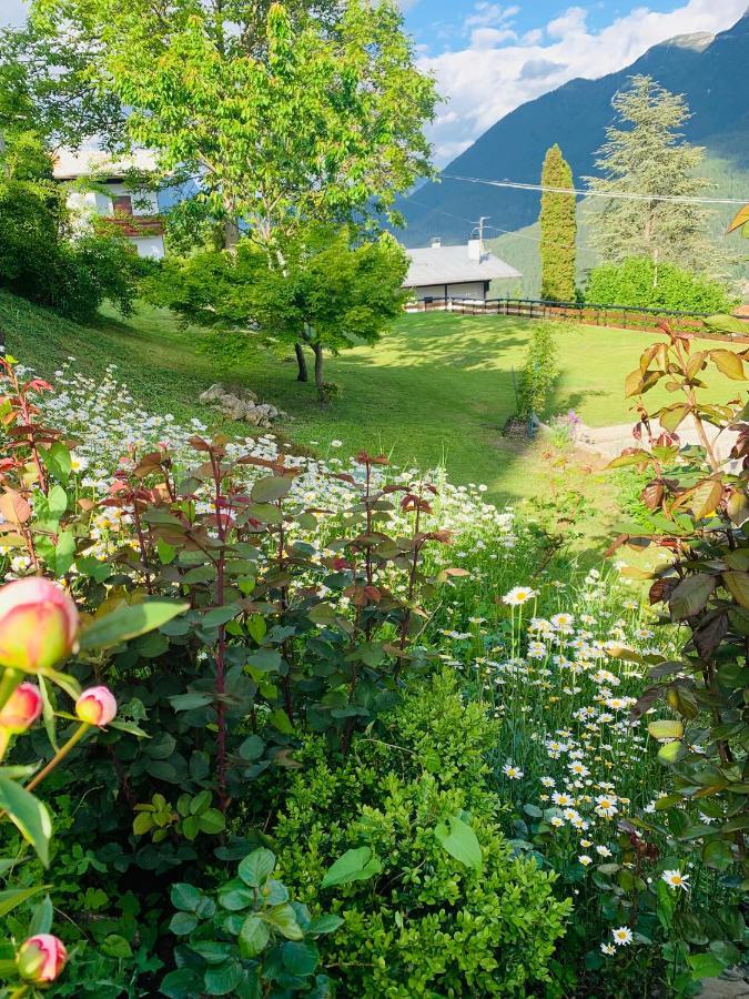 Aparthotel Mansarda La Soffitta à Domegge di Cadore Extérieur photo